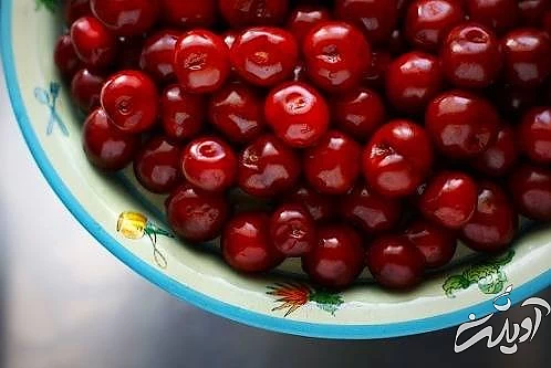 مواد مغذی آلبالو